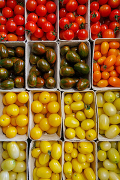 Variety of tomatoes in different colors displayed in small containers at a market