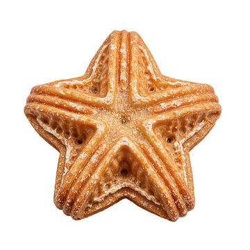 Porras churros star shaped fried dough pastry with sugar coating isolated on a transparent background