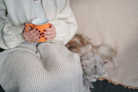 Cropped shot of hands holding orange coffee mug with cat resting on sofa
