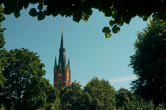 Church spire framed by green tree leaves