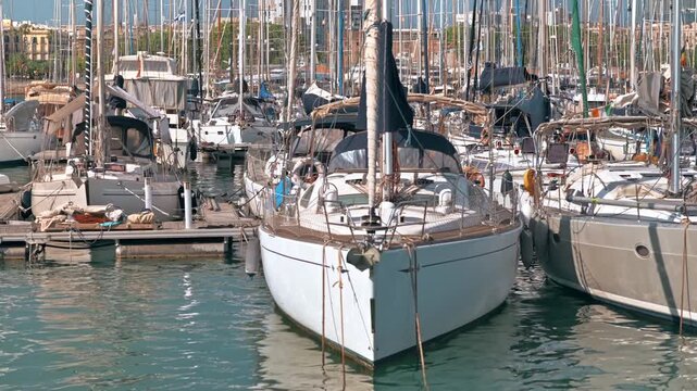 Many sailing boats moored in harbor at marina during sunny day.