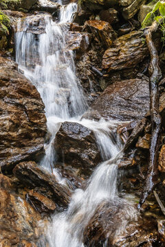 waterfall of a small stream in an Alpine forest