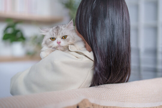 Cute fluffy cat resting on woman shoulder looking at camera in living room