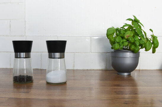 Kitchen Counter with Basil Plant, Wooden Coffee Pots, Cup and Saucer with Copy Space
