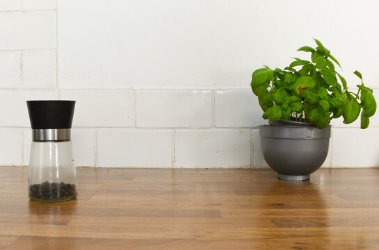 Kitchen Counter with Basil Plant, Wooden Coffee Pots, Cup and Saucer with Copy Space
