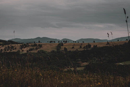 Landscape with trees, rolling hills and cloudy sky