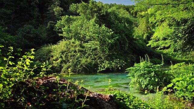 Lush forest and turquoise stream at Blue Eye spring in Albania