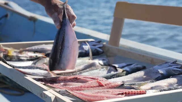 A worker handles and processes fresh fish on a wooden tray aboard a vessel, meticulously salting and arranging the seafood under sunlight above open sea waters for preservation