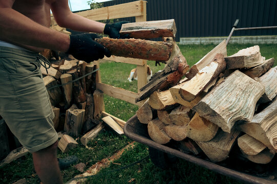 Man stacking chopped firewood into wooden crate outdoors in backyard