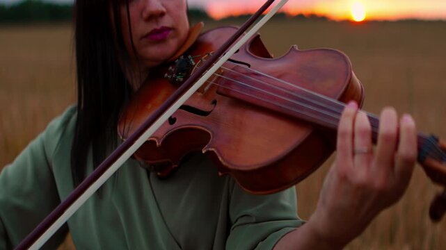 Focused musician playing violin in tranquil golden field at sunset, capturing serene emotion, delicate bowing technique and peaceful countryside atmosphere