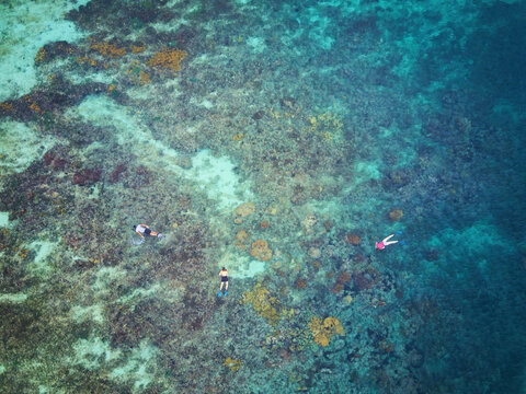 Aerial view of people snorkeling over a vibrant coral reef in the clear turquoise waters surrounding Calala Island, Laguna de Perlas, South Caribbean Coast, Nicaragua.