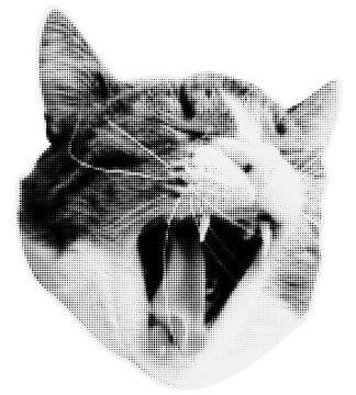 Halftone cat face. Photocopy stipple effect. Grungy punk aesthetic perfect for zines, posters, DIY flyers, tattoo, graphics, album art