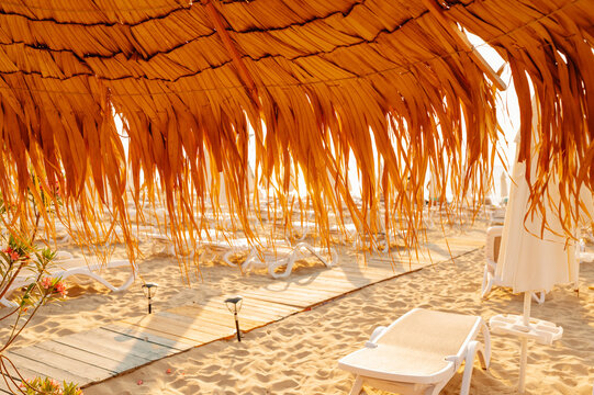 close view of dried palm frond thatched roof forming dense orange fringe above empty sunlit beach loungers