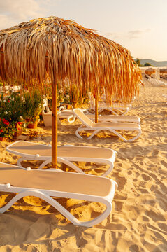 beach lounge chairs arranged on sandy beach with straw umbrellas and potted plants in sunny setting, relaxing.