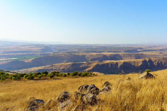Summer view of the slopes of the Golan Heights