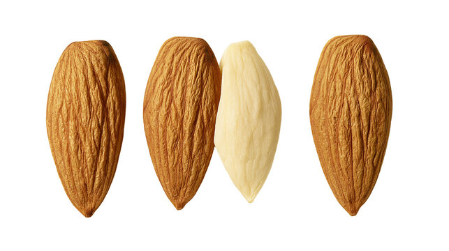 Three whole almonds with brown textured shells and one blanched almond, isolated on transparent background
