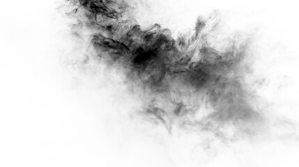 Smoke swirls in black on a transparent background as it drifts in an undefined space during an unclear time frame © Liubov