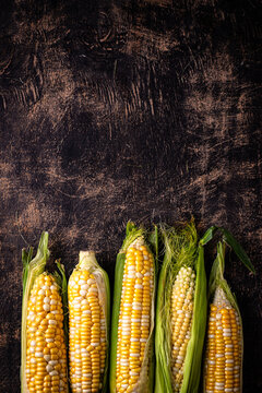 Raw uncooked fresh corn. Healthy food