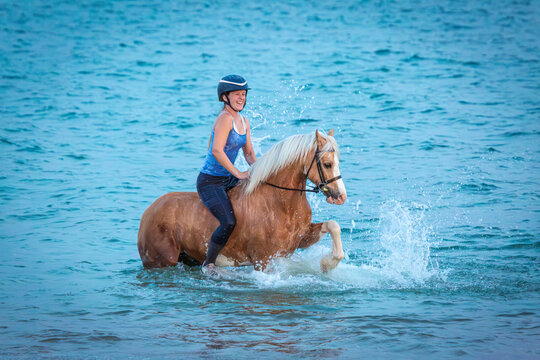 Welsh Section C Cob Splashing in the Sea With Rider
