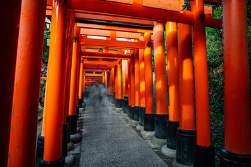 Fototapeta premium kyoto red torii gates