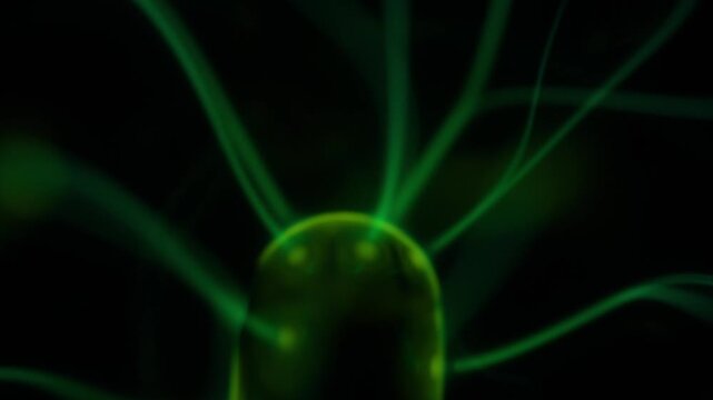 A close-up of the plasma ball coil during operation. The color of the electric rays created by the coil is a shade of green.
