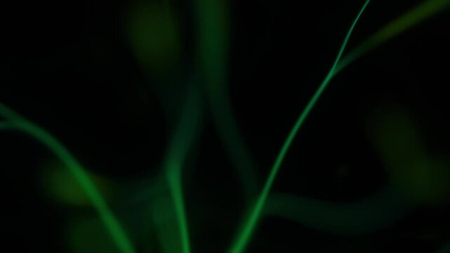 Close-up of a green plasma ball discharge.