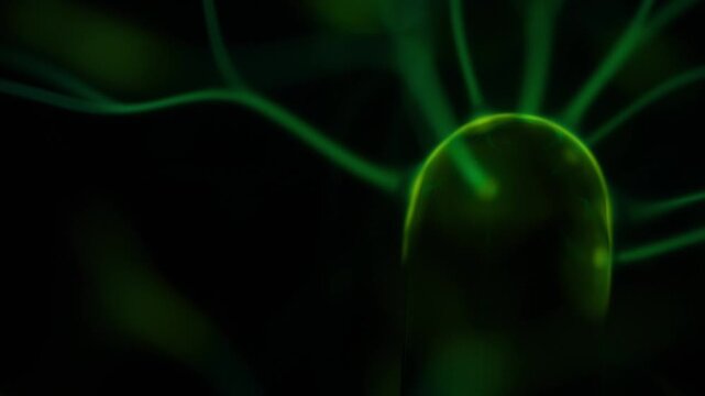 A close-up of the plasma ball coil during operation. The color of the electric rays created by the coil is a shade of green.