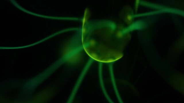 A close-up of the plasma ball coil during operation. The color of the electric rays created by the coil is a shade of green.