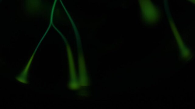 Close-up of a green plasma ball discharge.
