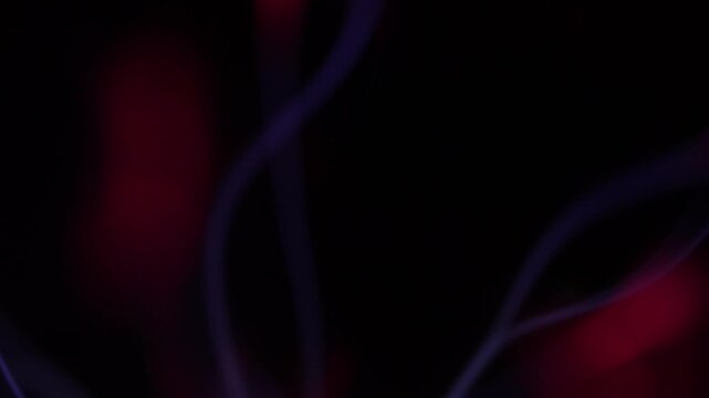 A close-up of the electrical discharge rays from a plasma ball. The plasma ball's rays are in shades of red and purple.