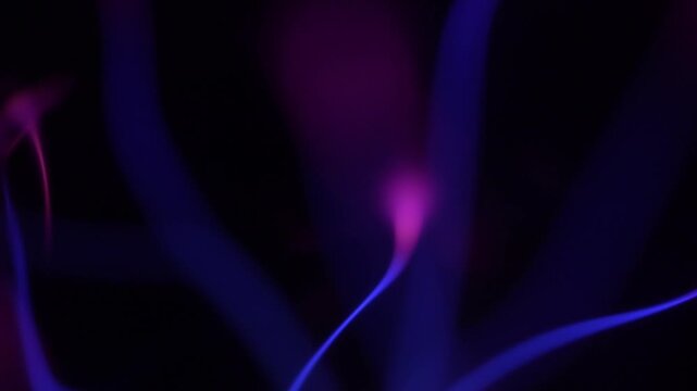 Close-up of electrical discharge rays from a plasma ball. Plasma ball rays in a purple hue.