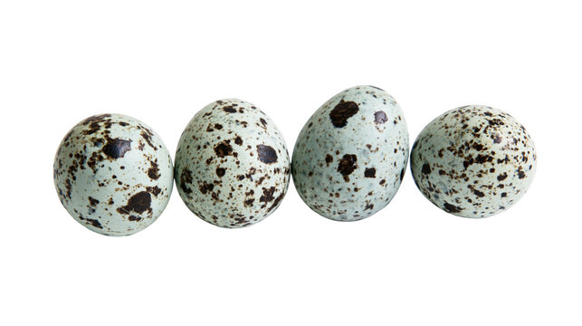 Four speckled bird eggs with light blue and brown markings, isolated on transparent background