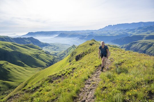 Female hiker on the hiking trail to Cathedral Peak, Green Mountains and Hills, Drakensberg Mountains, KwaZulu-Natal, South Africa
