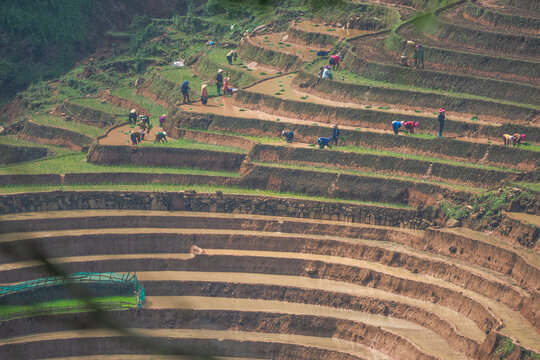 The pouring water season makes the terraced fields of Y Ty, Lao Cai province, Vietnam appear with brown soil blending with the beautiful sky