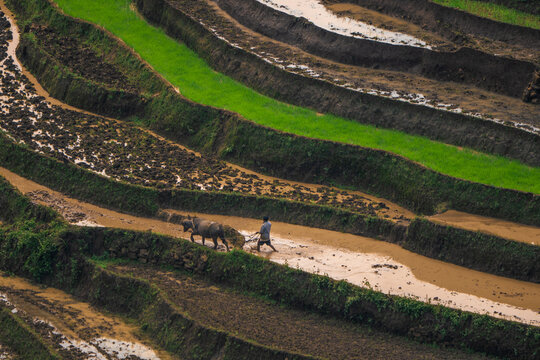 The pouring water season makes the terraced fields of Y Ty, Lao Cai province, Vietnam appear with brown soil blending with the beautiful sky