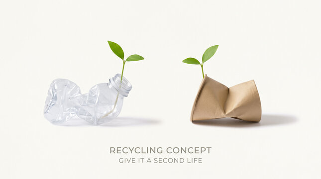 A green plant growing from plastic and paper, waste recycling concept
