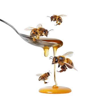 Bees flying around a spoon with honey isolated on a white background
