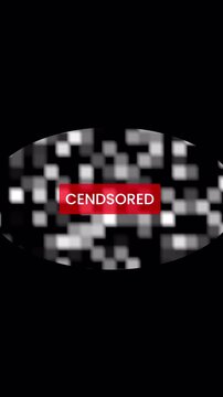 Abstract mosaic blur censored animation. Vertical Privacy Mosaic Overlay with Dynamic Shifting Pixel Blocks and Red Warning Bar for Content Restriction Loop 4k video