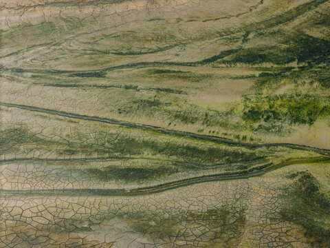 Aerial view of cracked mudflats and mossy terrain on Aestian Island, featuring intricate patterns of dry earth and green vegetation in Krynica Morska, Pomeranian Voivodeship, Poland.