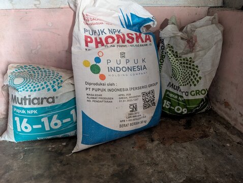 BANGKA BELITUNG, INDONESIA - AUGUST 3, 2026: Sacks of commercial NPK granular fertilizers including Phonska and Mutiara brands sitting on a concrete floor ready for farm and crop maintenance.