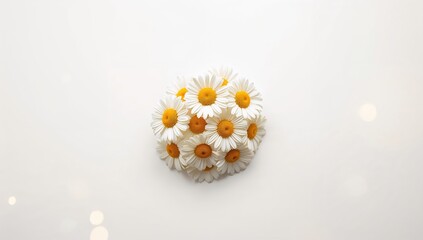 Daisies Arranged in a Circular Shape on Soft Background © CreativeBro