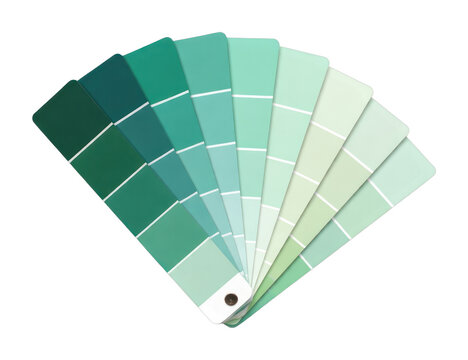 PNG Vibrant green paint swatch collection.