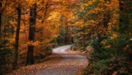 Fototapeta premium Curvy Road Through Autumn Forest with Blurry Background
