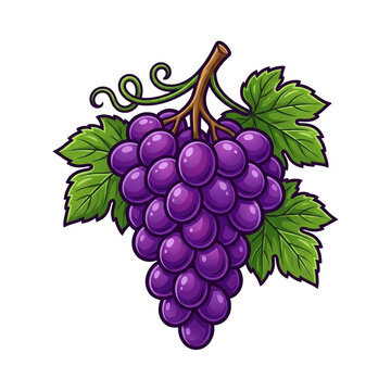  wine illustration