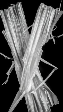 Torn white paper strips. Ripped edge texture isolated on black background.