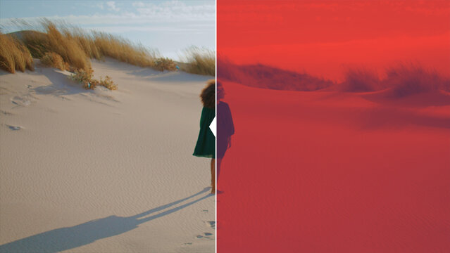 Premium Overlays Duotones 13 &ndash; Modern Duotone Color Effects, Gradient Tone Overlays and Stylish Visual Filters for Video Editing and Motion Graphics