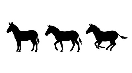 Obraz premium Set of 3 zebra silhouettes in standing, walking, and running poses isolated on a white background.
