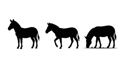 Obraz premium Set of Three Zebra Silhouettes in Different Poses Including Standing Walking and Grazing Poses