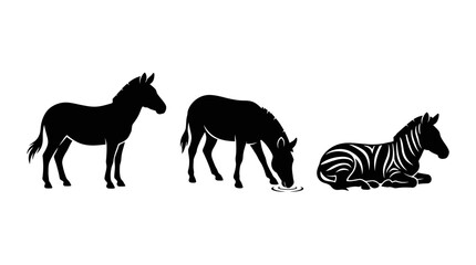 Obraz premium Set of 3 zebra silhouettes isolated on white background including standing, drinking and sitting poses