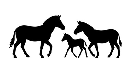 Obraz premium Black Silhouette of a Zebra Family with Two Adults and One Foal Walking on a Plain White Background